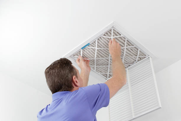 Best Air Duct Sanitizing Services  in Madill, OK